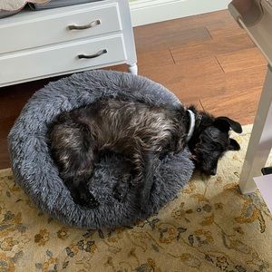 Meet your Posher, Brenda